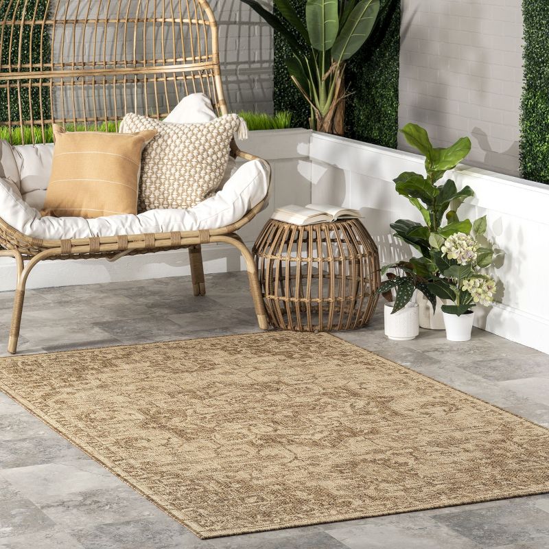 Affordable Rugs and Carpets for Every Room